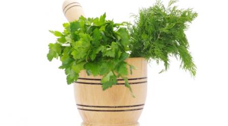 צמחי מרפא בגינת הירק