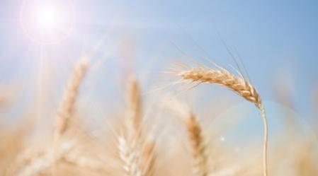 על חג שבועות ועל גמר התיקון