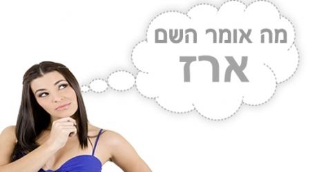 משמעות השם ארז.